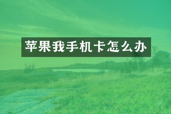 苹果我手机卡怎么办