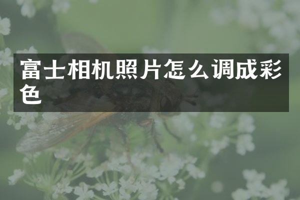 富士相机照片怎么调成彩色