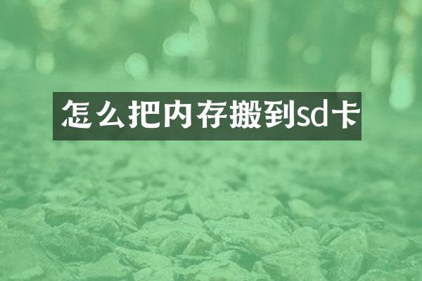 怎么把内存搬到sd卡