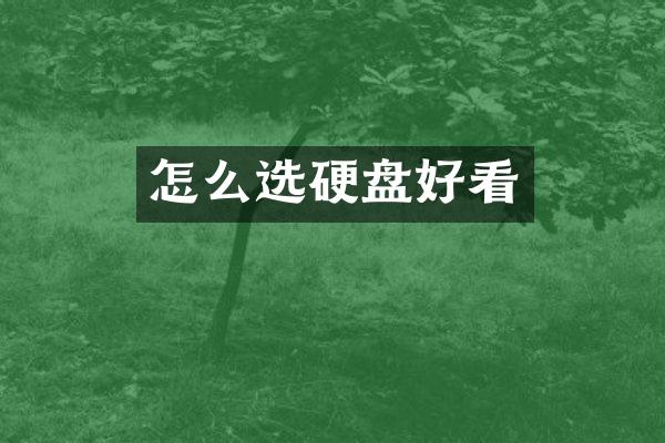 怎么选硬盘好看