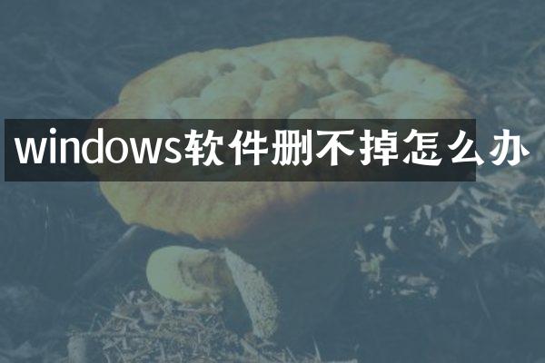 windows软件删不掉怎么办