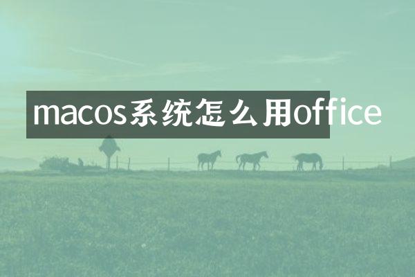 macos系统怎么用office