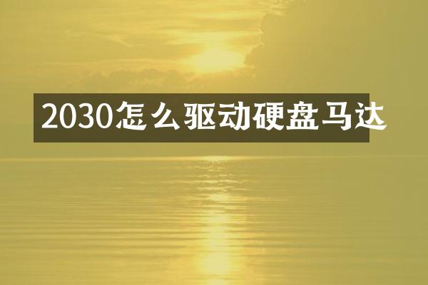 2030怎么驱动硬盘马达
