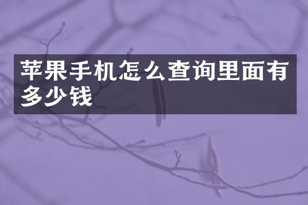 苹果手机怎么查询里面有多少钱