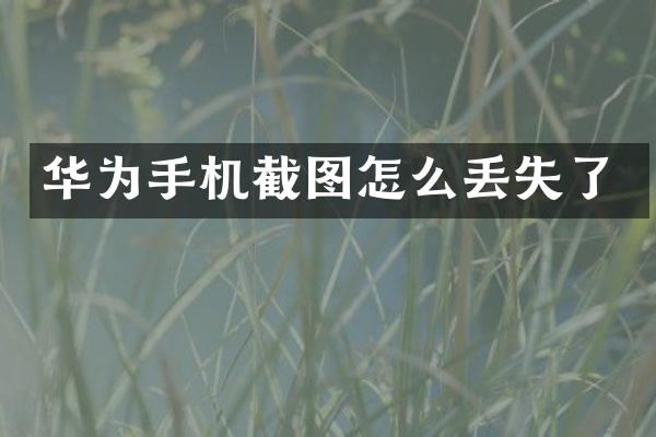 华为手机截图怎么丢失了