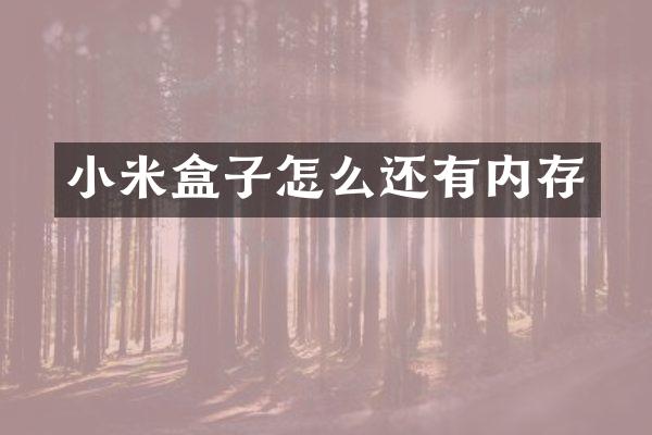 小米盒子怎么还有内存