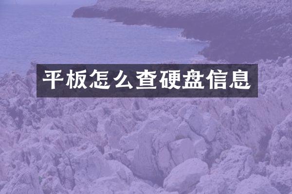 平板怎么查硬盘信息