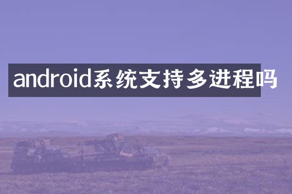 android系统支持多进程吗