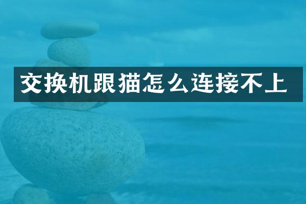 交换机跟猫怎么连接不上