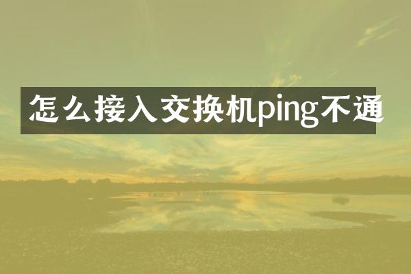 怎么接入交换机ping不通