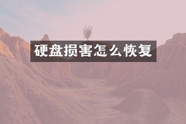 硬盘损害怎么恢复