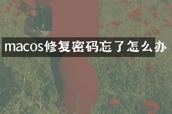 macos修复密码忘了怎么办