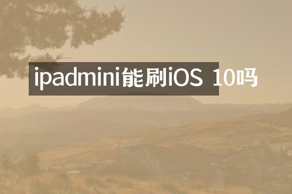 ipadmini能刷iOS 10吗