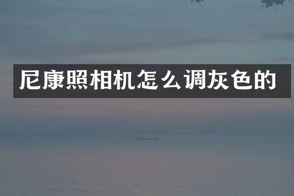 尼康照相机怎么调灰色的