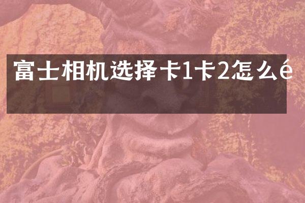 富士相机选择卡1卡2怎么选