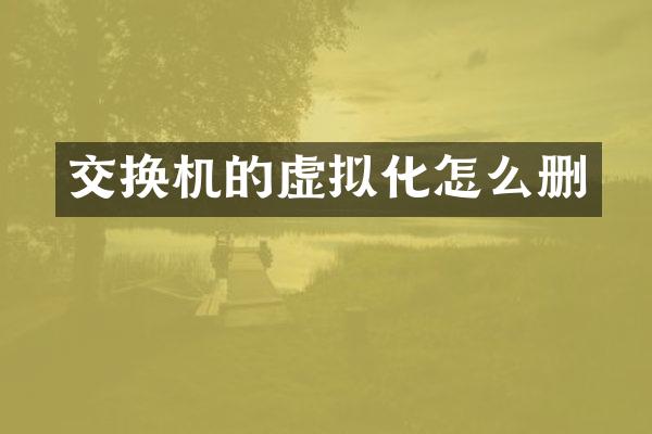 交换机的虚拟化怎么删