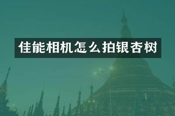 佳能相机怎么拍银杏树