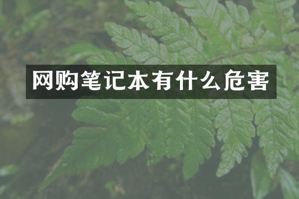 网购笔记本有什么危害