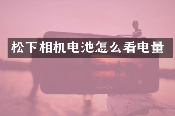 相机电池怎么看电量