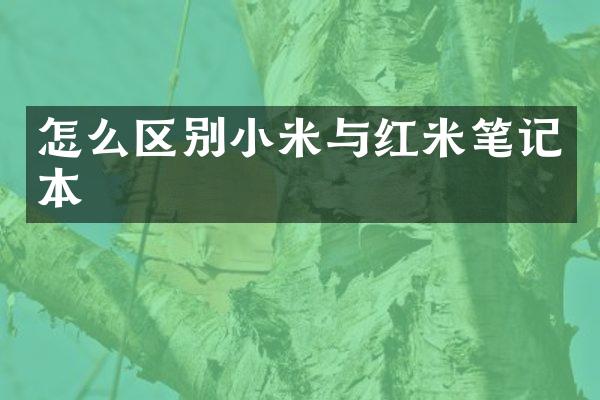 怎么区别小米与红米笔记本