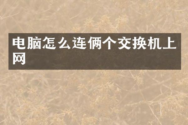 电脑怎么连俩个交换机上网