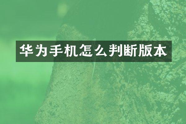 华为手机怎么判断版本
