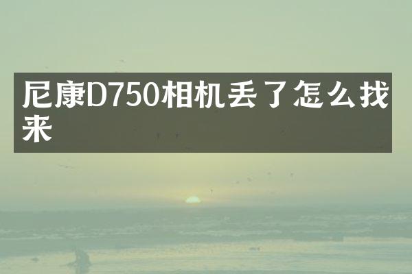 尼康D750相机丢了怎么找回来