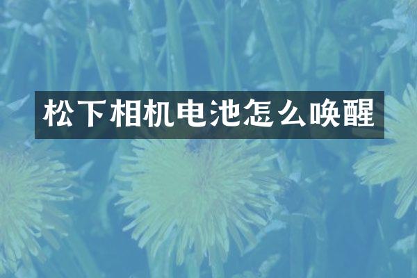 相机电池怎么唤醒