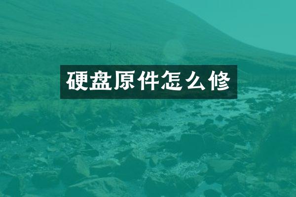 硬盘原件怎么修