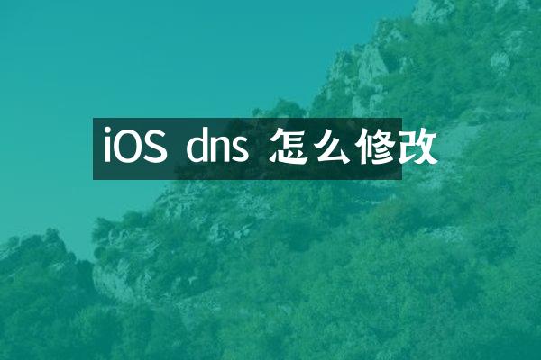 iOS dns 怎么修改