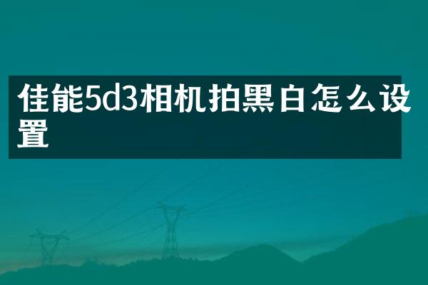 佳能5d3相机拍黑白怎么设置