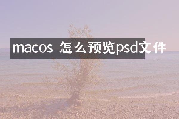 macos 怎么预览psd文件
