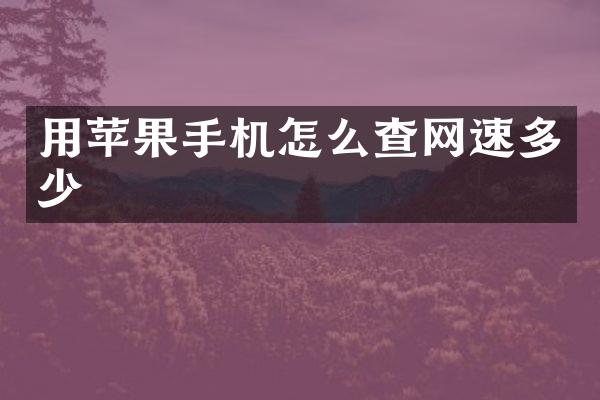 用苹果手机怎么查网速多少