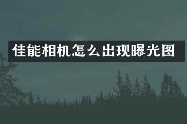 佳能相机怎么出现曝光图