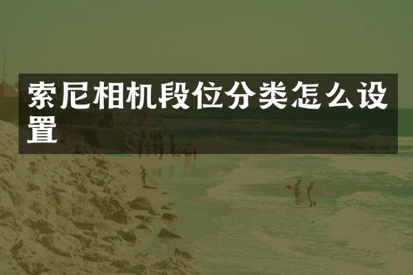 相机段位分类怎么设置