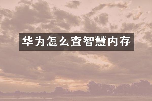 华为怎么查智慧内存
