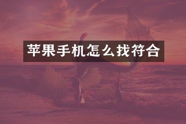 苹果手机怎么找符合