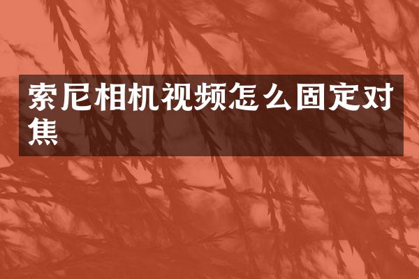 相机视频怎么固定对焦