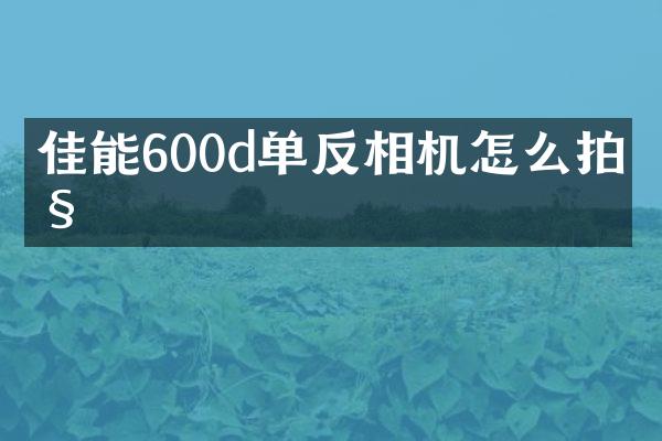 佳能600d单反相机怎么拍照