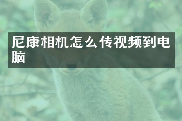 尼康相机怎么传视频到电脑