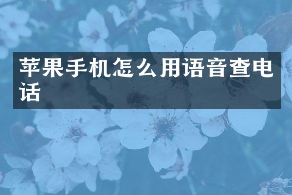 苹果手机怎么用语音查电话