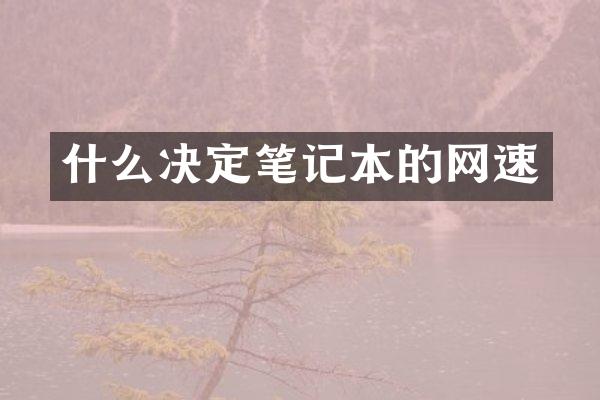 什么决定笔记本的网速