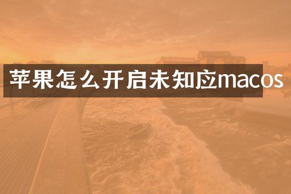 苹果怎么开启未知应macos