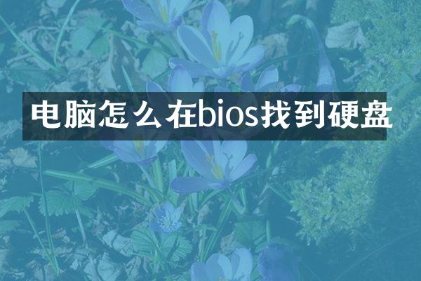 电脑怎么在bios找到硬盘
