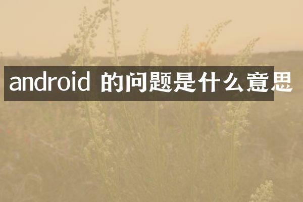 android 的问题是什么意思