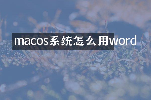 macos系统怎么用word