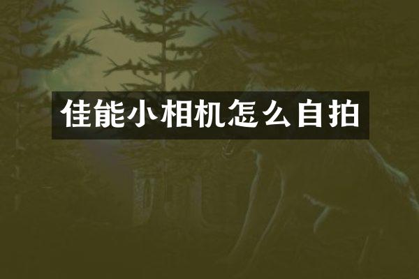 佳能小相机怎么