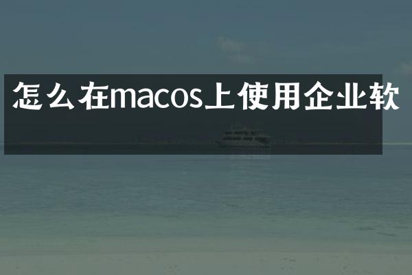 怎么在macos上使用企业软件