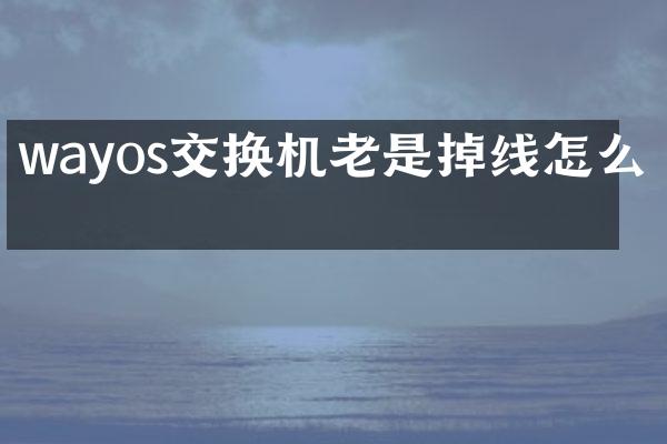 wayos交换机老是掉线怎么办