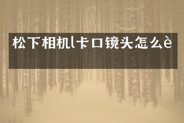 相机l卡口镜头怎么装